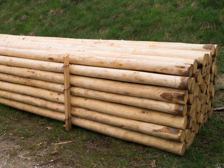 Stangen und Stämme aus Kastanienholz. Kastanienrundholz