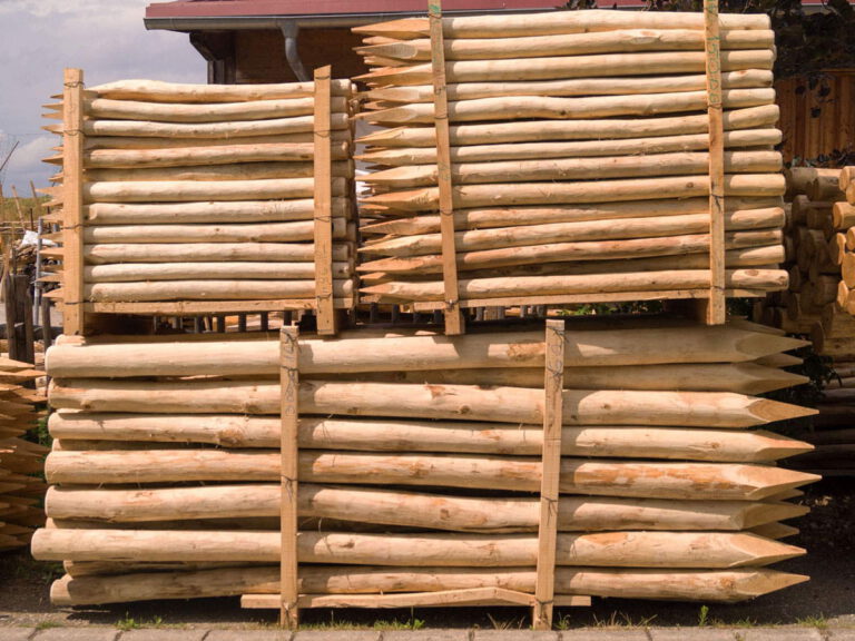 Robinienpfähle geschält, naturform, verschiedene Dimensionen