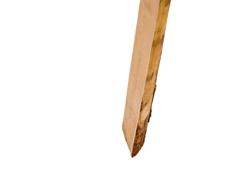 Halbriegel aus dem Holz der Edelkastanie
