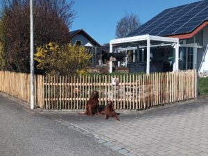 Haniklzaun aus Kastanienholz