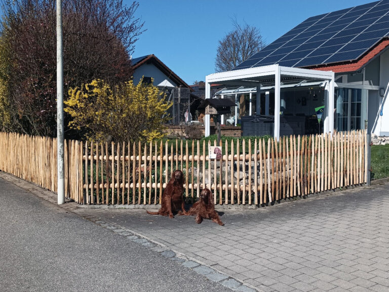 Haniklzaun aus Kastanienholz