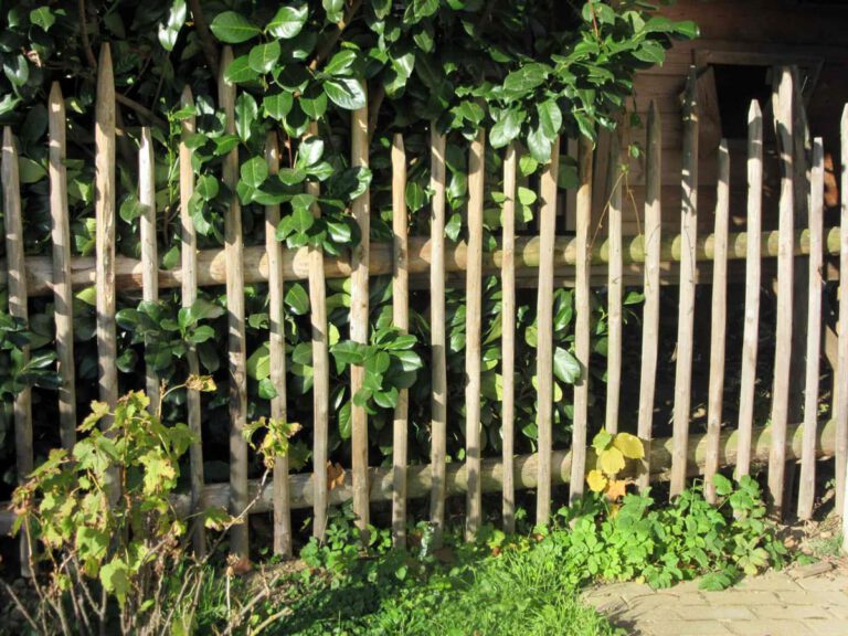 Hanikelzaun als Gartensumrandung