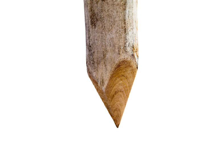 Robinienpfähle geschält, naturform